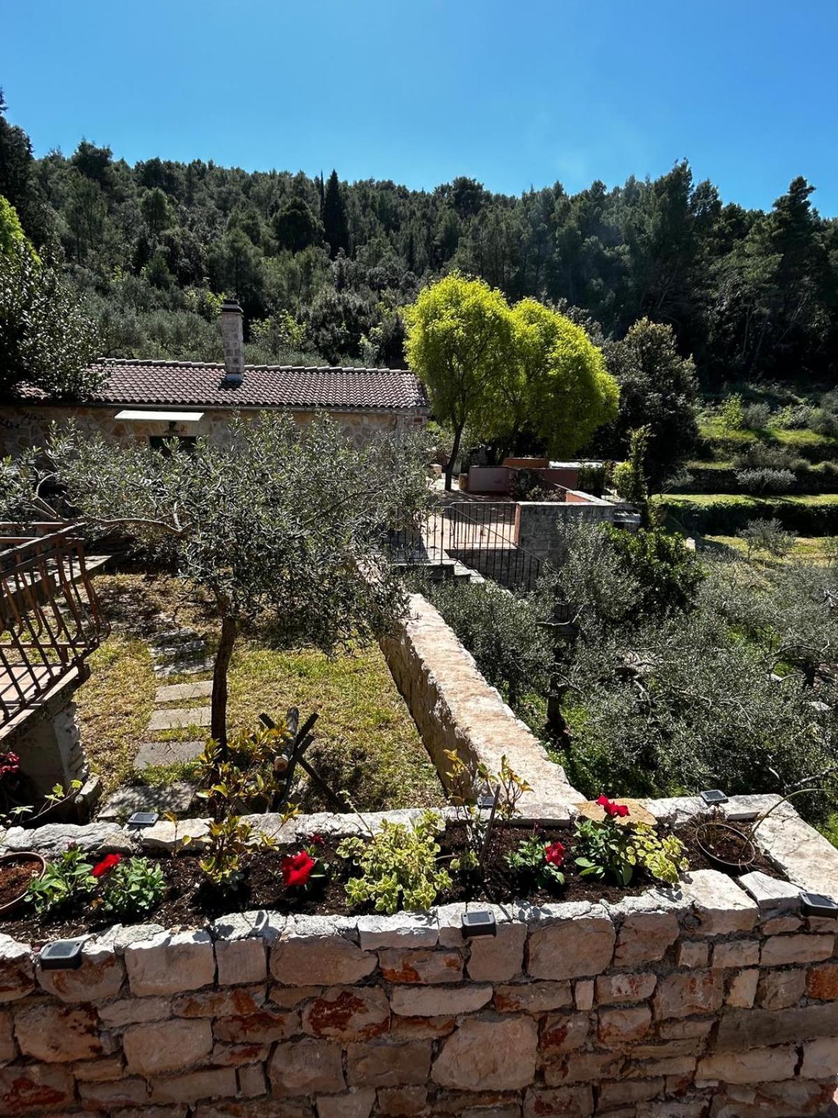 Merlo House Dol Hvar Stari Grad  Exterior photo